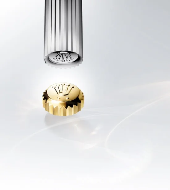 Distribuidor oficial Rolex em São Paulo | Corsage