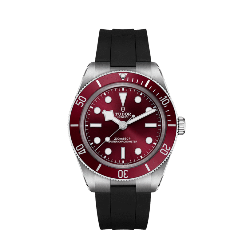 TUDOR BLACK BAY 58