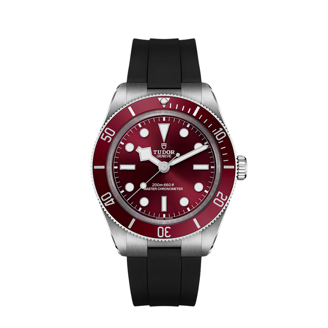 TUDOR BLACK BAY 58